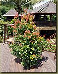 20171028_131214.jpg