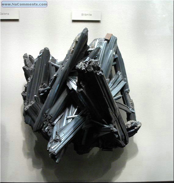 Natural History2.jpg