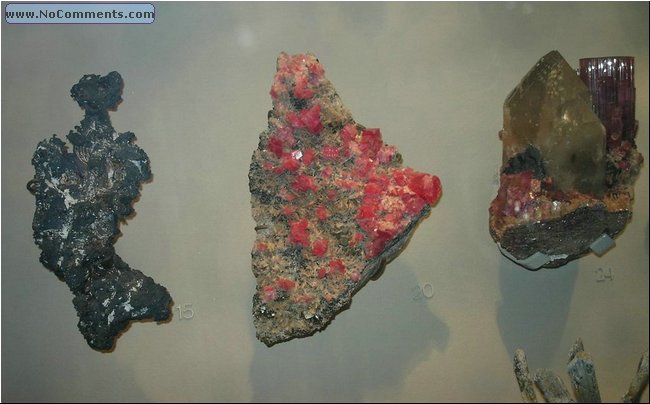 Natural History6.jpg