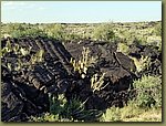 20170911_171155.jpg