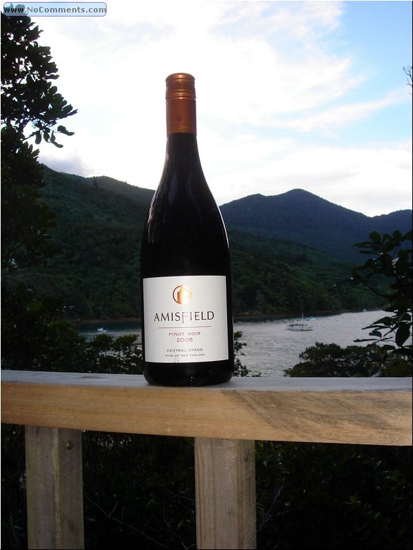 Amisfield Pinot Noir.JPG