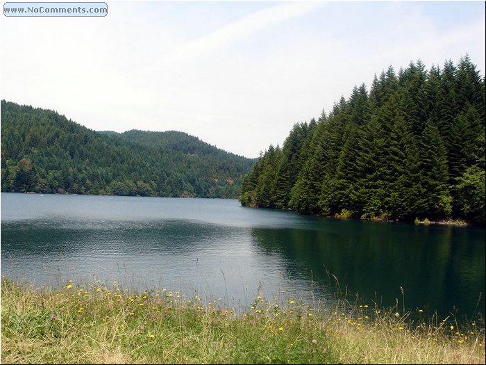 Oregon Forest - Lake.JPG
