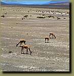 20251130_113438.jpg