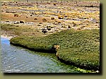20251130_132715.jpg
