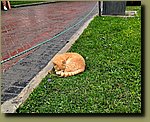 20251127_093510.jpg