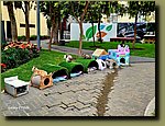 20251127_094151.jpg