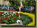 20251127_094202.jpg