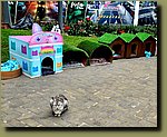 20251127_094220.jpg
