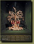 20251127_184336.jpg