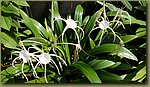 20190207_112514.jpg