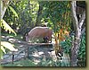 Four Seasons Water Buffalo - Chiang Mai.jpg