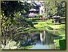Four Seasons view  - Chiang Mai.jpg