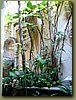 Four Seasons view from the bath tub - Chiang Mai.jpg
