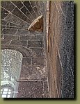 20250528_133101.jpg