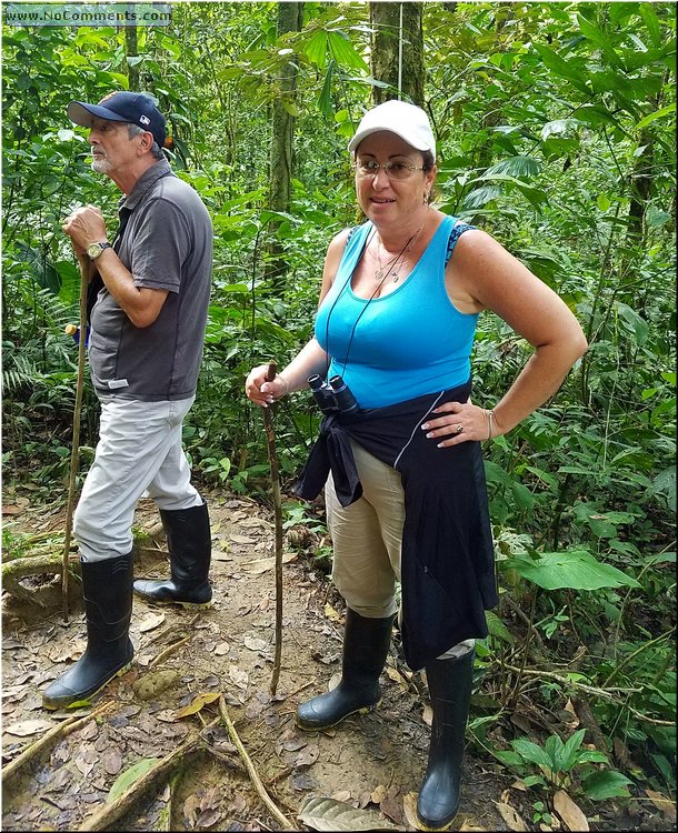 Jungle_excursion_04.jpg