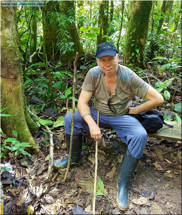 Jungle_excursion_18.jpg
