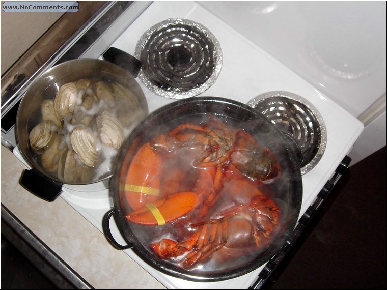 Lobsters and Steamers.JPG