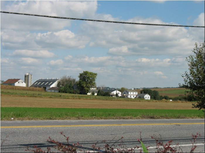 Intercourse Farm.jpg